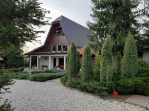 Гостиница Apartments Vila Matija  Златибор